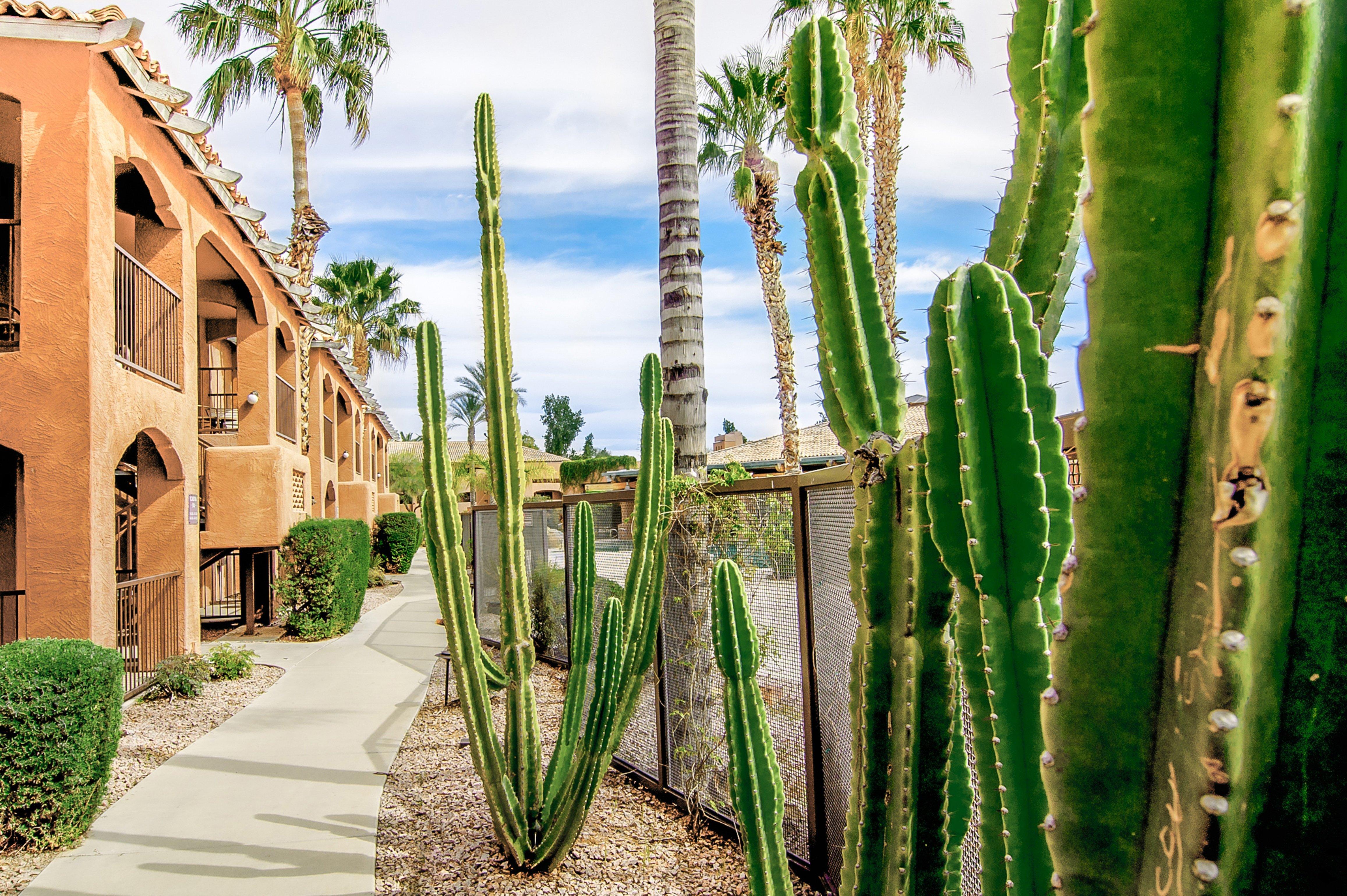 Holiday Inn Club Vacations Scottsdale Resort Extérieur photo